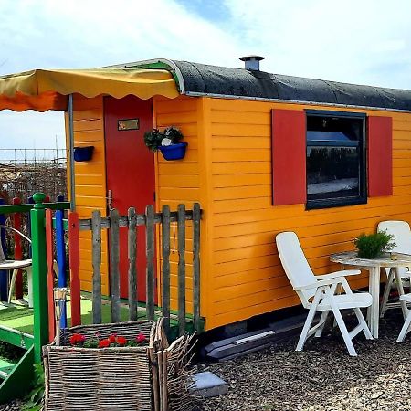 B&B Boerderij Rust, In Pipowagens! Ντεν Χέλντερ Εξωτερικό φωτογραφία