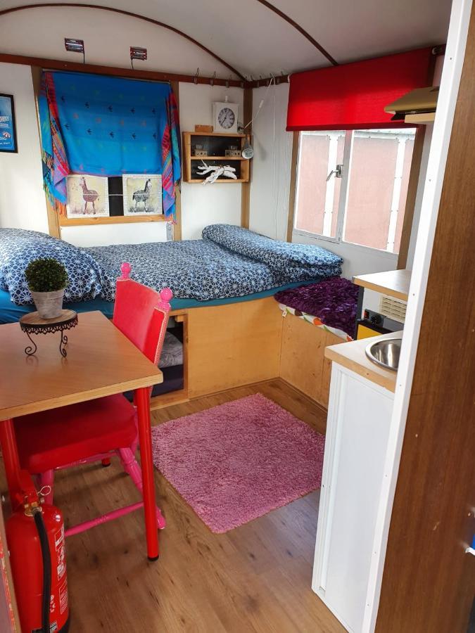 B&B Boerderij Rust, In Pipowagens! Ντεν Χέλντερ Εξωτερικό φωτογραφία