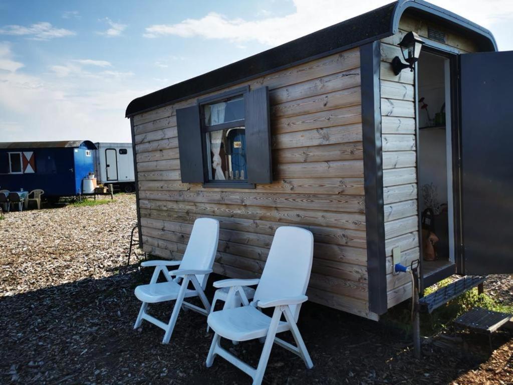 B&B Boerderij Rust, In Pipowagens! Ντεν Χέλντερ Εξωτερικό φωτογραφία